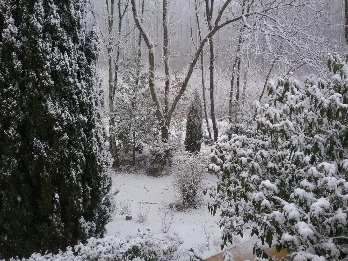 Bed and Breakfast Au Jardin De Lisa Cherreau Esterno foto